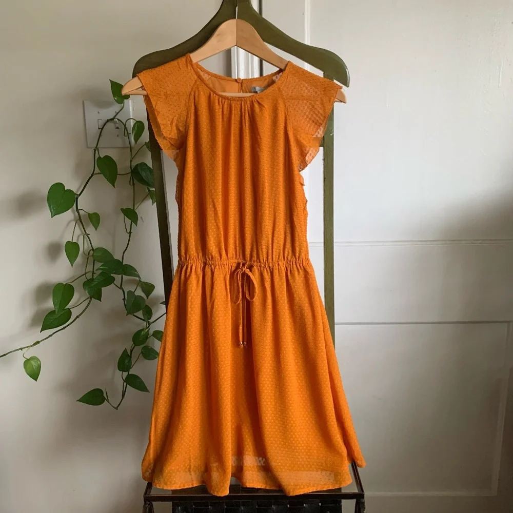 H&M Orange Embroidered Print Ruffle Sleeve Elastic Waist A Line Dress Size 0